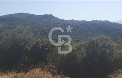 Dikili Bademlide Deniz Manzaralı Satılık Arsa