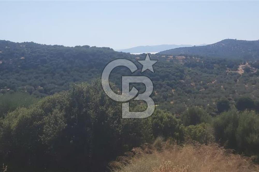 Dikili Bademlide Deniz Manzaralı Satılık Arsa