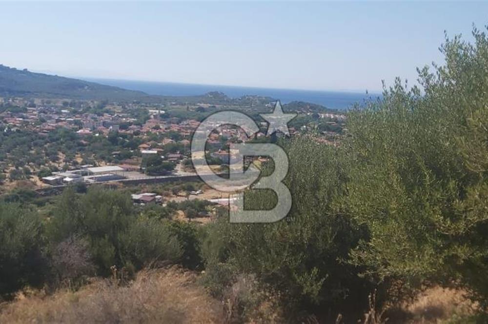 Dikili Bademlide Deniz Manzaralı Satılık Arsa