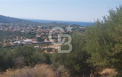 Dikili Bademlide Deniz Manzaralı Satılık Arsa