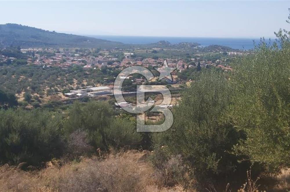 Dikili Bademlide Deniz Manzaralı Satılık Arsa