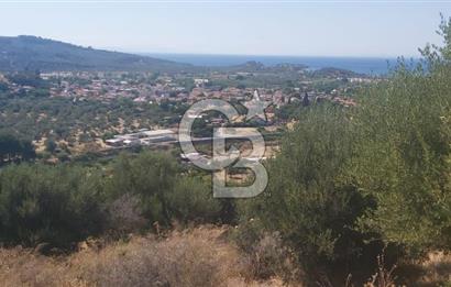 Dikili Bademlide Deniz Manzaralı Satılık Arsa