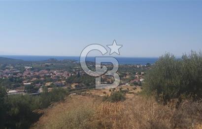 Dikili Bademlide Deniz Manzaralı Satılık Arsa