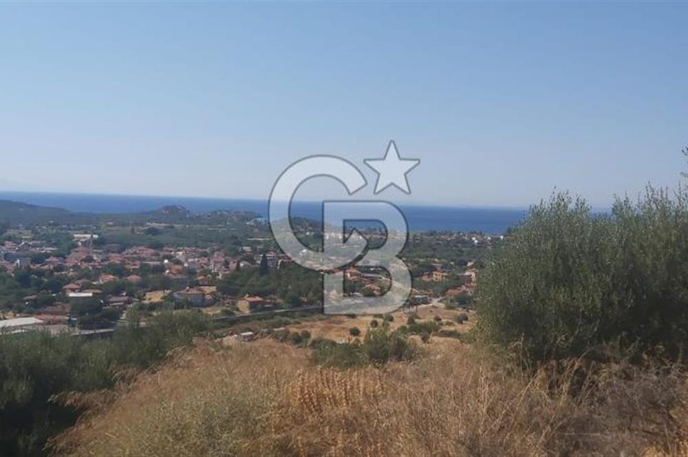 Dikili Bademlide Deniz Manzaralı Satılık Arsa