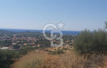 Dikili Bademlide Deniz Manzaralı Satılık Arsa