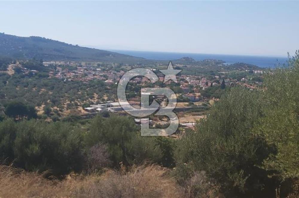 Dikili Bademlide Deniz Manzaralı Satılık Arsa