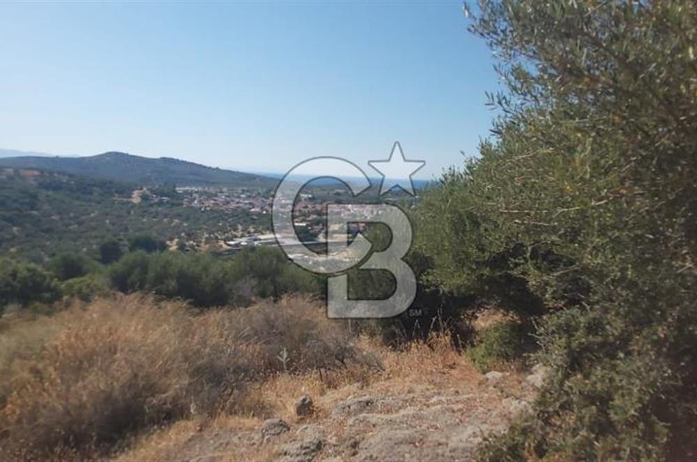Dikili Bademlide Deniz Manzaralı Satılık Arsa