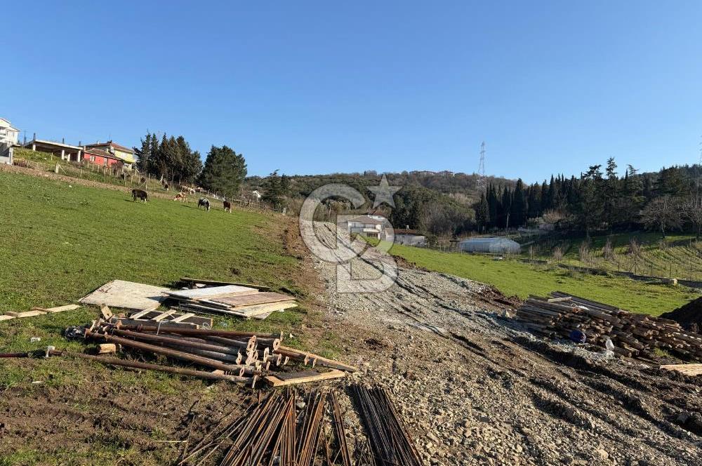 YALOVA ALTINOVA ÇAVUŞÇİFTLİĞİNDE ACİL SATILIK ARSA!