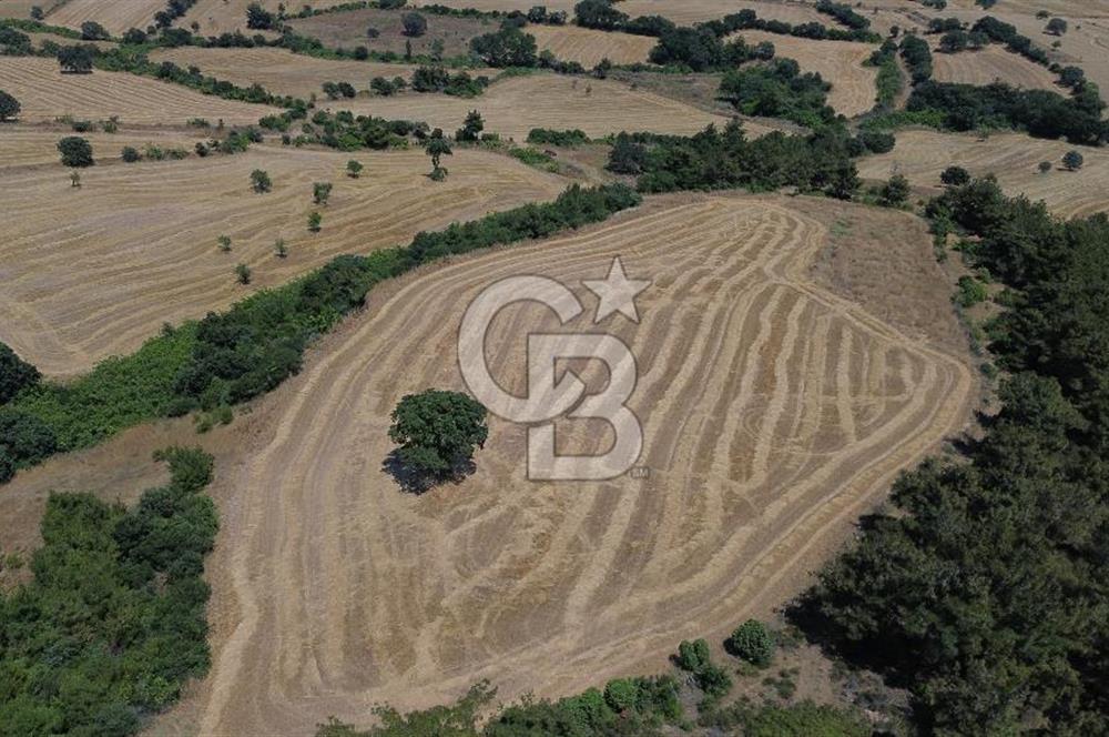 BAYRAMİÇ ÇATALÇAM KÖYÜNDE 18 DÖNÜM SATILIK TARLA