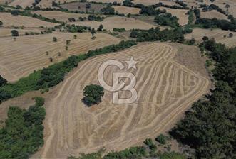 BAYRAMİÇ ÇATALÇAM KÖYÜNDE 18 DÖNÜM SATILIK TARLA - 9 - 357491