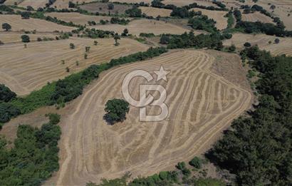 BAYRAMİÇ ÇATALÇAM KÖYÜNDE 18 DÖNÜM SATILIK TARLA