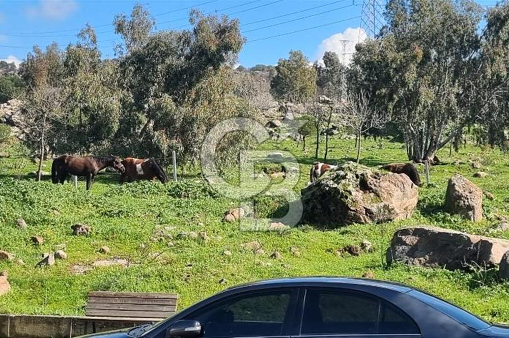 İzmir Çiğli EV-KA 6 3+1 Satılık Daire