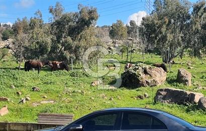 İzmir Çiğli EV-KA 6 3+1 Satılık Daire
