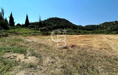 Salihli Caferbeyde Villa İmarlı 328m² Arsa