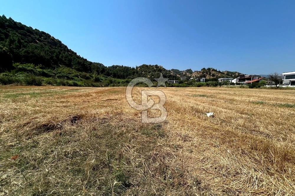 Salihli Caferbeyde Villa İmarlı 328m² Arsa