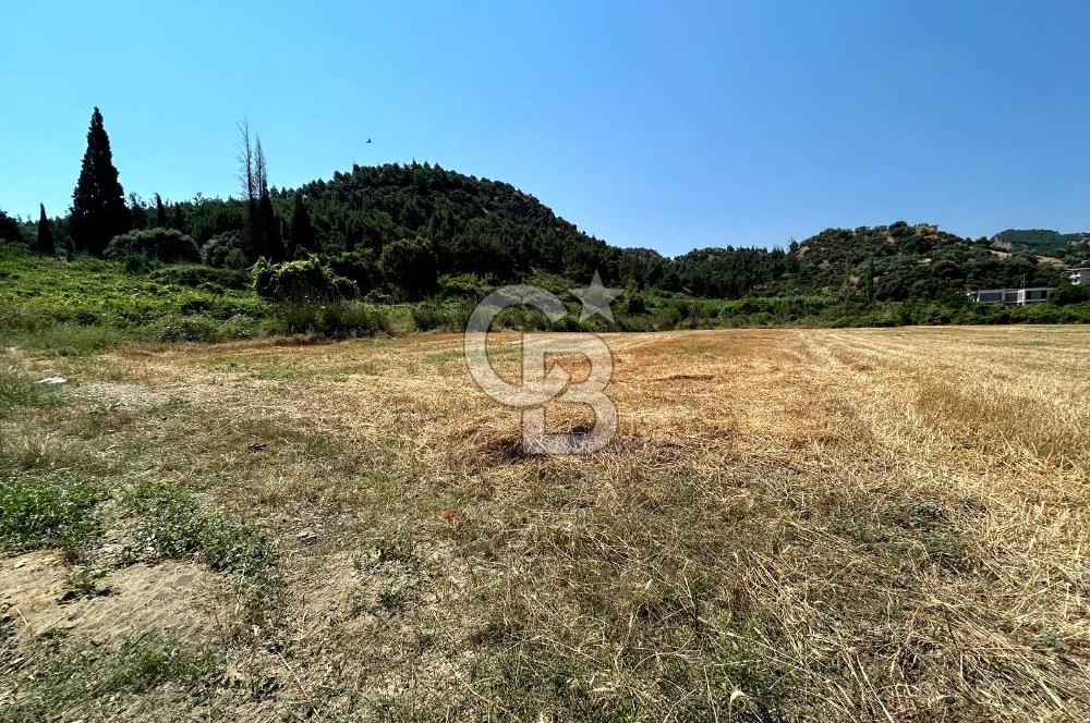 Salihli Caferbeyde Villa İmarlı 328m² Arsa