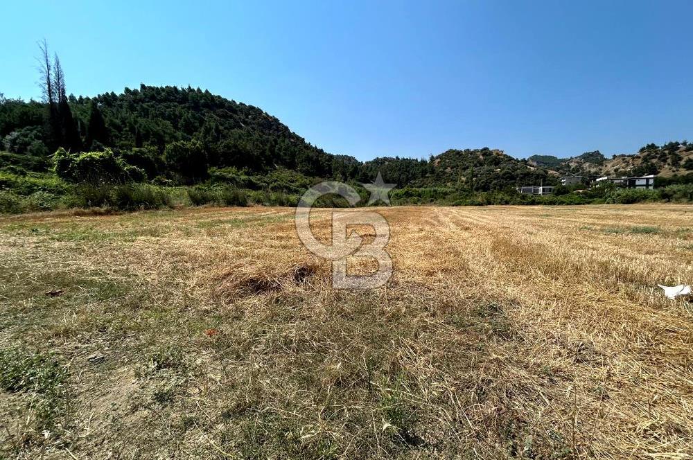 Salihli Caferbeyde Villa İmarlı 328m² Arsa