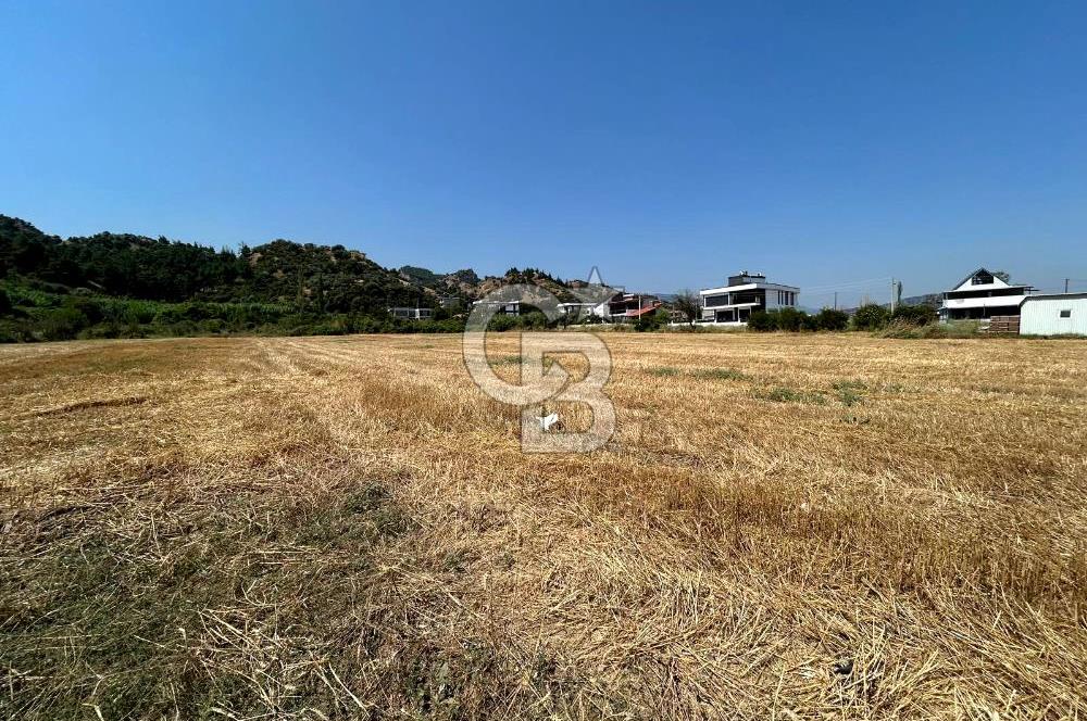 Salihli Caferbeyde Villa İmarlı 328m² Arsa