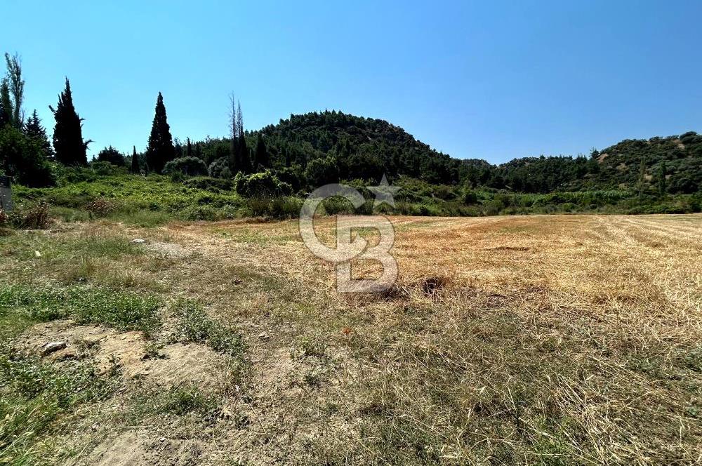 Salihli Caferbeyde Villa İmarlı 328m² Arsa