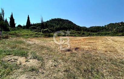 Salihli Caferbeyde Villa İmarlı 328m² Arsa