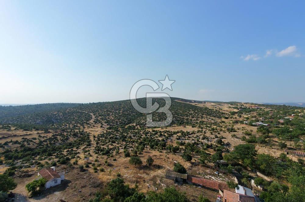 EZİNE KARADAĞ KÖYÜNDE YAPI KAYIT BELGELİ 375 M2 ARSA İÇERİSİNDE SATILIK KÖYEVİ FIRSAT PORTFÖY