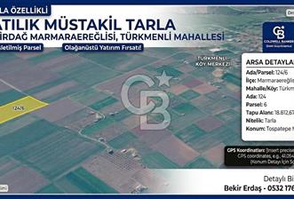 Tekirdağ Marmaraereğlisi Türkmenlide Yatırımlık Tarla - 3 - 357507