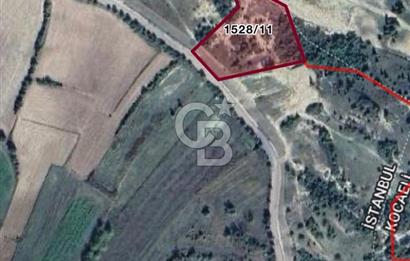 Ferit KUTLUAY'dan KOCAELİ GEREDELİ DE SATILIK 2.563 M2 TARLA