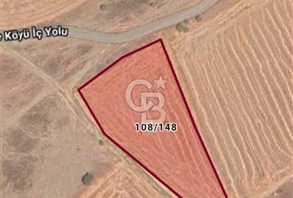 MALKARA KAVAKÇEŞMEDE SATILIK 3843 M2 YOLU OLAN TARLA OTOYOLA 2DK - 5 - 357549