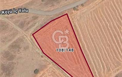 MALKARA KAVAKÇEŞMEDE SATILIK 3843 M2 YOLU OLAN TARLA OTOYOLA 2DK