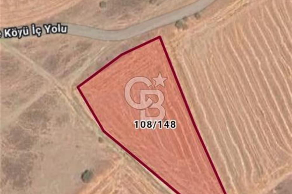 MALKARA KAVAKÇEŞMEDE SATILIK 3843 M2 YOLU OLAN TARLA OTOYOLA 2DK