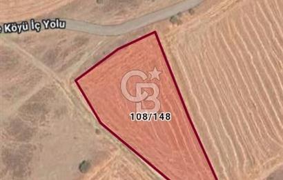 MALKARA KAVAKÇEŞMEDE SATILIK 3843 M2 YOLU OLAN TARLA OTOYOLA 2DK
