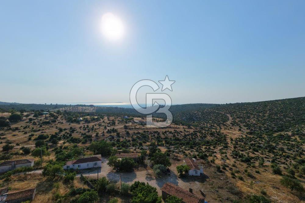EZİNE KARADAĞ KÖYÜNDE YAPI KAYIT BELGELİ 375 M2 ARSA İÇERİSİNDE SATILIK KÖYEVİ FIRSAT PORTFÖY