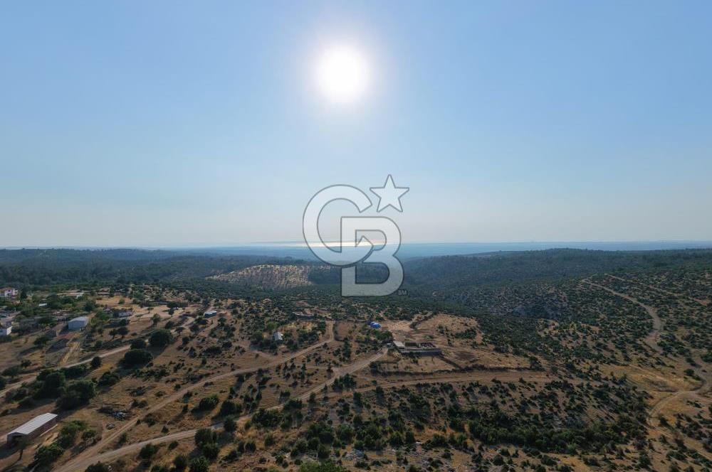 EZİNE KARADAĞ KÖYÜNDE YAPI KAYIT BELGELİ 375 M2 ARSA İÇERİSİNDE SATILIK KÖYEVİ FIRSAT PORTFÖY