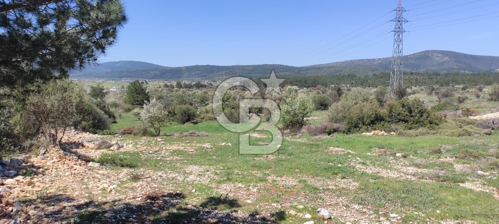 Urla Birgi'de, Doğanın Kalbinde Değerli Bir Yatırım Fırsatı