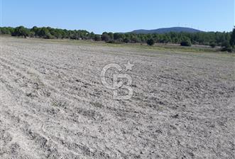 İZMİR URLA BİRGİ MAHALLESİ'NDE SATILIK TARLA - 3 - 357604