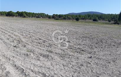 İZMİR URLA BİRGİ MAHALLESİ'NDE SATILIK TARLA