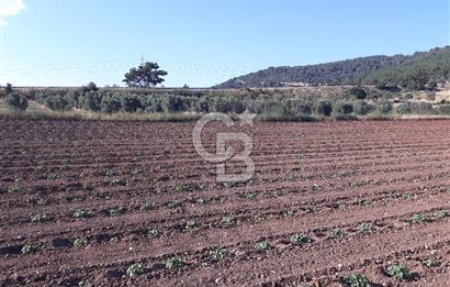 Eski Çeşme Yolu'nda Doğaya Yatırım, Huzura Komşuluk