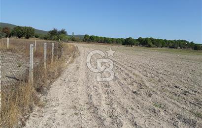 İZMİR URLA BİRGİ MAHALLESİ'NDE SATILIK TARLA