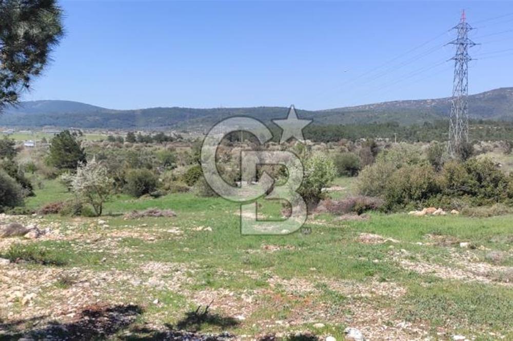 Urla Birgi'de, Doğanın Kalbinde Değerli Bir Yatırım Fırsatı