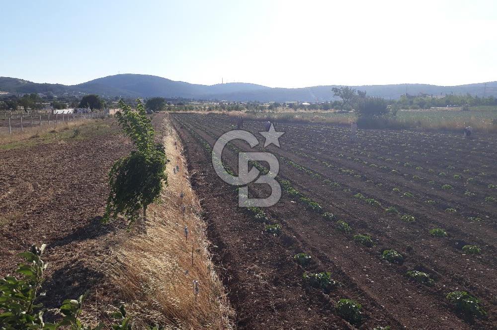 Eski Çeşme Yolu'nda Doğaya Yatırım, Huzura Komşuluk