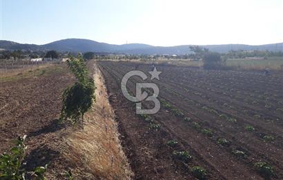 Eski Çeşme Yolu'nda Doğaya Yatırım, Huzura Komşuluk