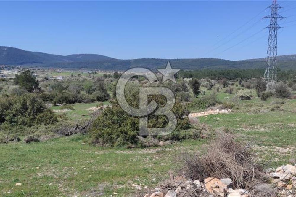 Urla Birgi'de, Doğanın Kalbinde Değerli Bir Yatırım Fırsatı