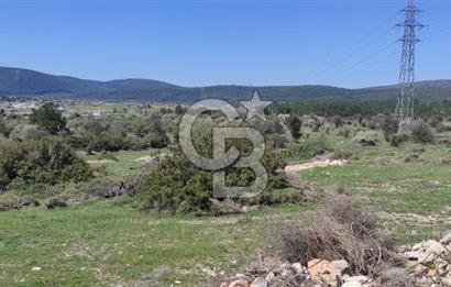 Urla Birgi'de, Doğanın Kalbinde Değerli Bir Yatırım Fırsatı