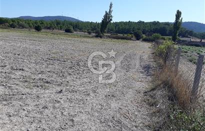 İZMİR URLA BİRGİ MAHALLESİ'NDE SATILIK TARLA