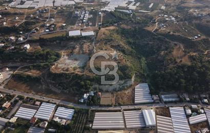 Antalya Aksu Çalkaya Satılık 5.5M TL Takaslı Tarla