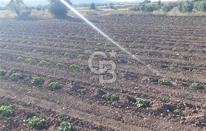 Eski Çeşme Yolu'nda Doğaya Yatırım, Huzura Komşuluk
