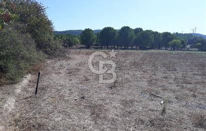 İZMİR URLA BİRGİ MAHALLESİ'NDE SATILIK TARLA