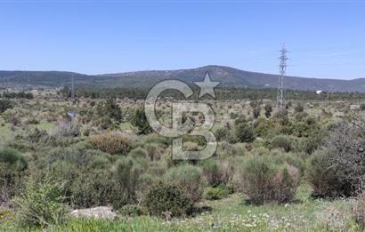 Urla Birgi'de, Doğanın Kalbinde Değerli Bir Yatırım Fırsatı