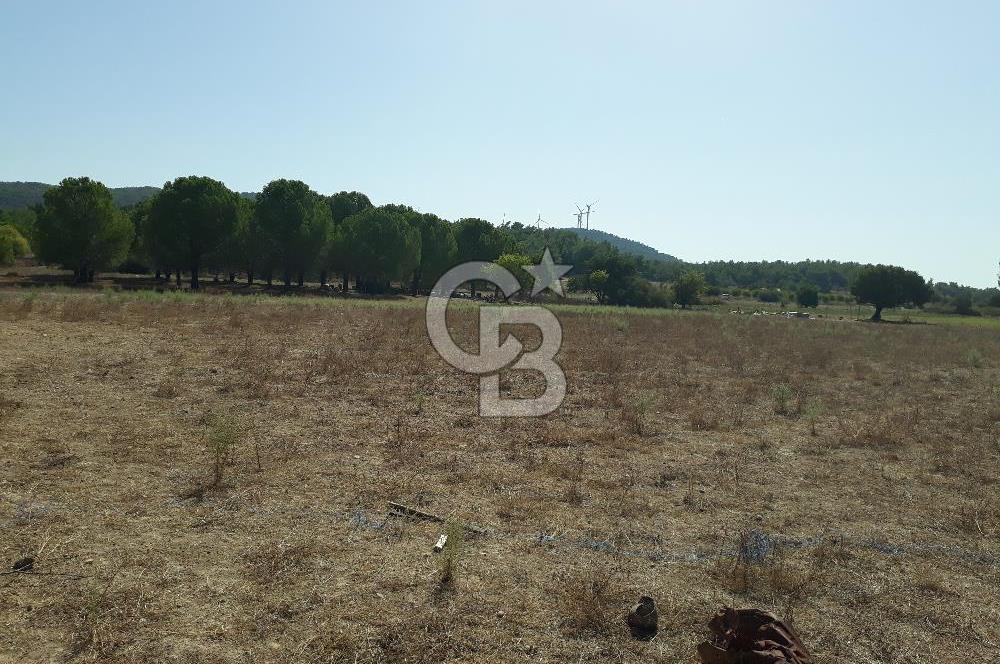 İZMİR URLA BİRGİ MAHALLESİ'NDE SATILIK TARLA