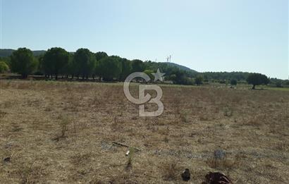 İZMİR URLA BİRGİ MAHALLESİ'NDE SATILIK TARLA